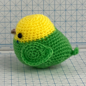 セキセイインコ  メス